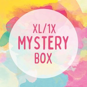 Mystery box of XL and 1X clothing